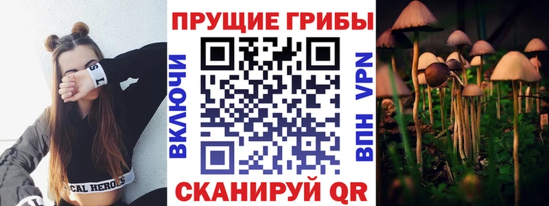 Галлюциногенные грибы MAGIC MUSHROOMS  ссылка на мегу как зайти  Астрахань  купить  