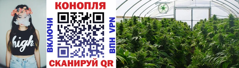 мориарти состав  Астрахань  Марихуана план  как найти  